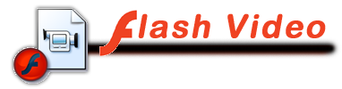 FLV: FLash Video