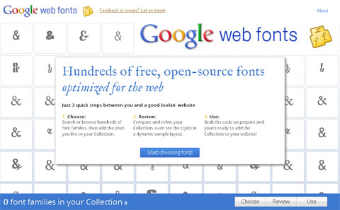 Google web fonts